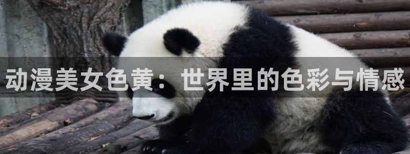 若能与你共乘风破浪樱花动漫：动漫美女色黄：世界里的色彩与情感