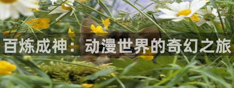 哥布林洞窟樱花动漫网：百炼成神：动漫世界的奇幻之旅