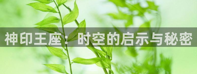 樱花动漫网站是多少：神印王座：时空的启示与秘密