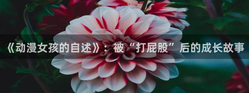 樱花动漫塞尔达同人：《动漫女孩的自述》：被“打屁股”后的成长故事